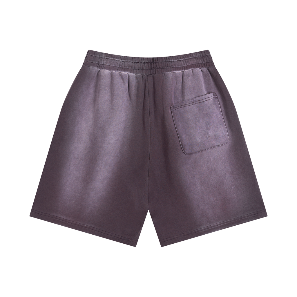 Sun Fade Distressed"NFS" Shorts