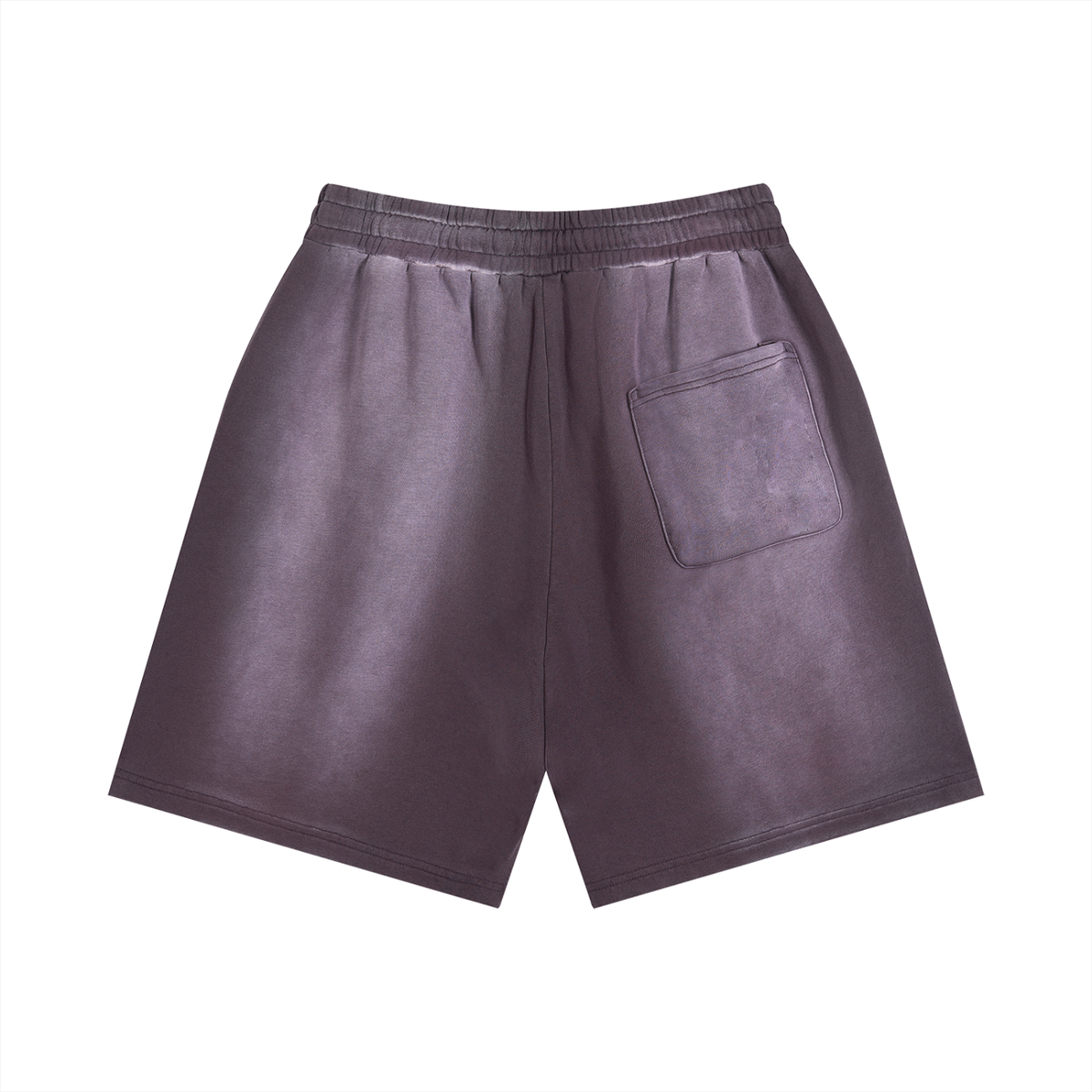 Sun Fade Distressed"NFS" Shorts
