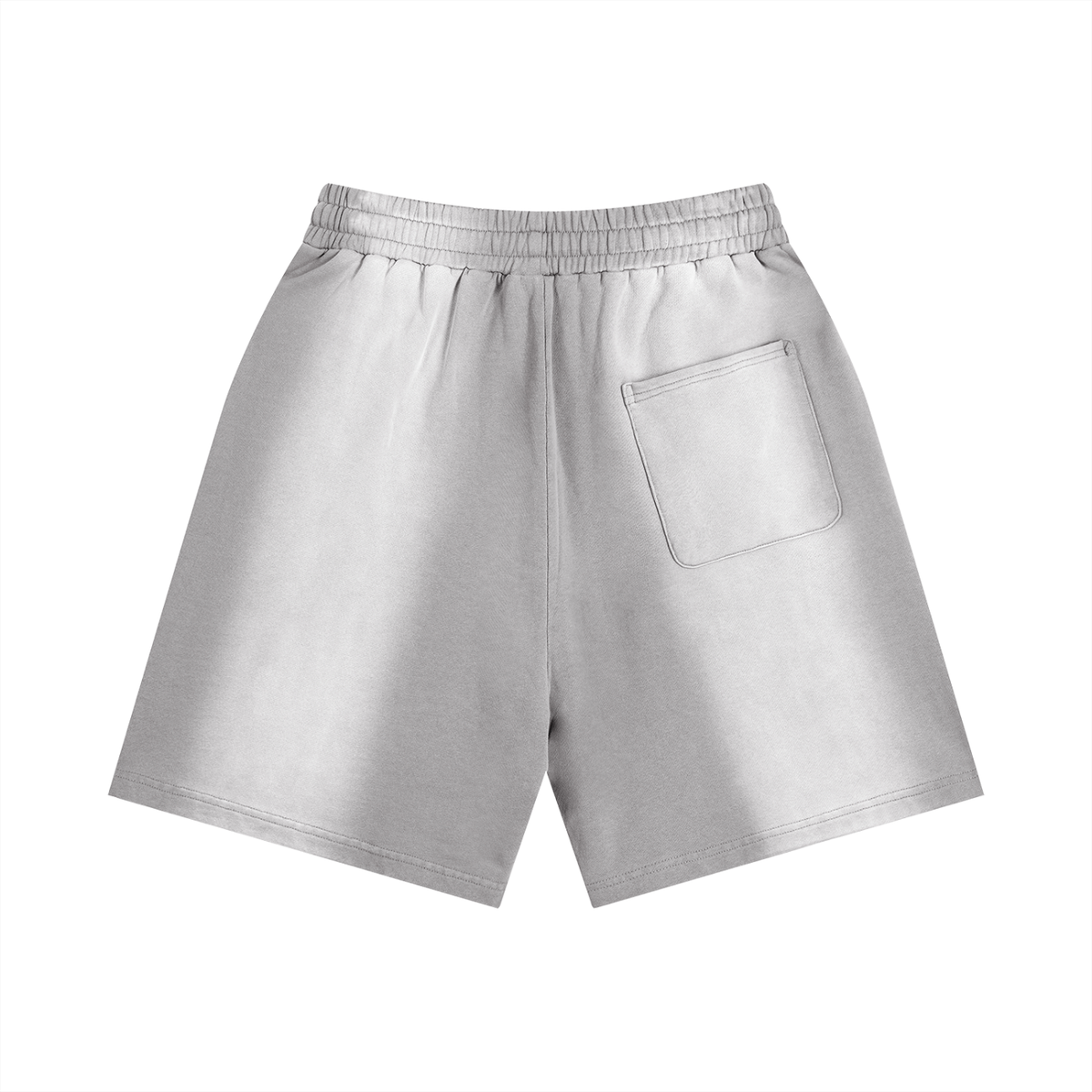 Sun Fade Distressed"NFS" Shorts