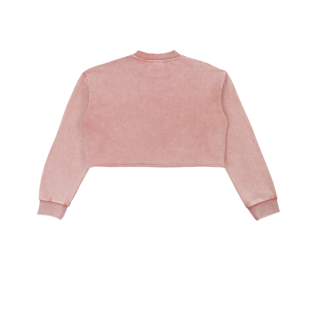 Snow Washed "Droopy" Cropped Sweatshirt
