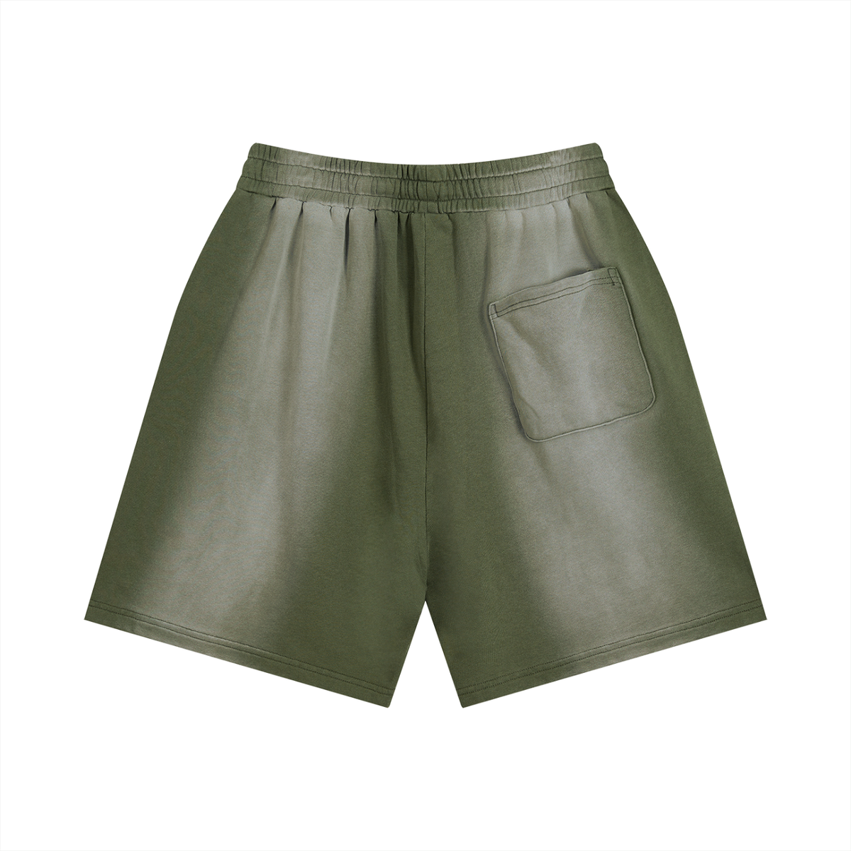 Sun Fade Distressed"NFS" Shorts